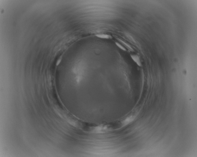 X0000076380366200610202045