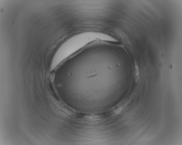 X0000076380367200610202045