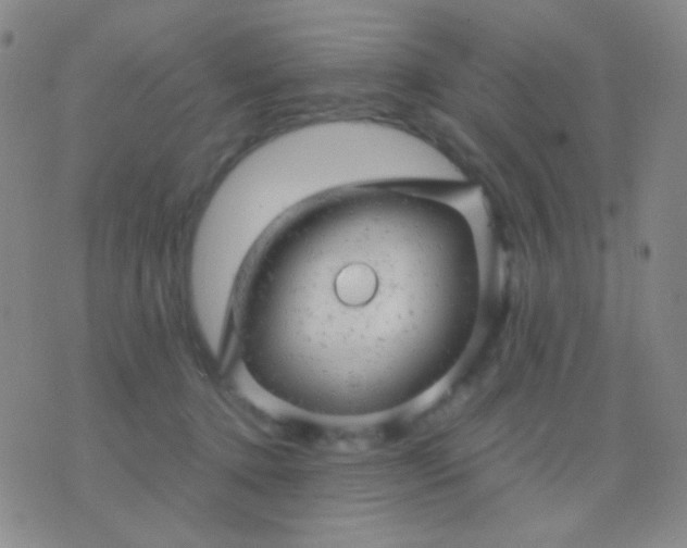 X0000076380368200610202045