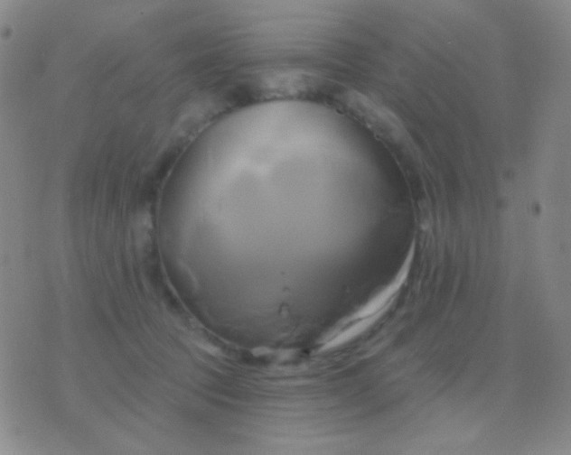 X0000076380369200610202045