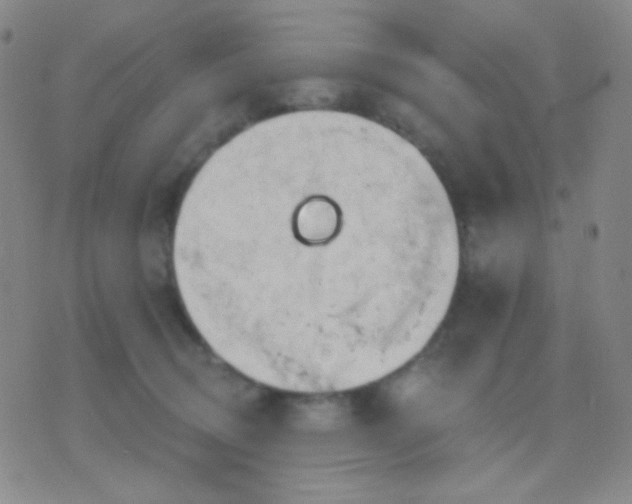 X0000076380370200610202045