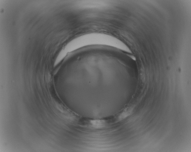 X0000076380371200610202045