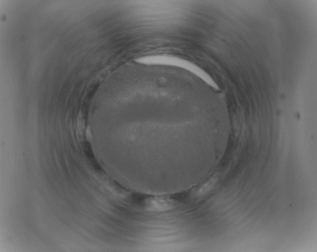 X0000076380372200610202045