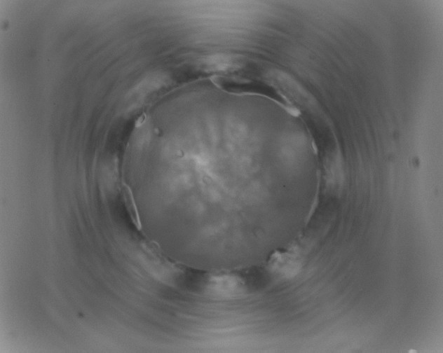 X0000076380376200610202045