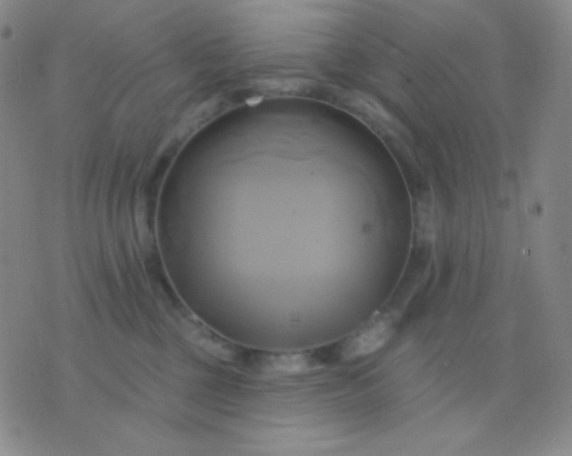 X0000076380377200610202045