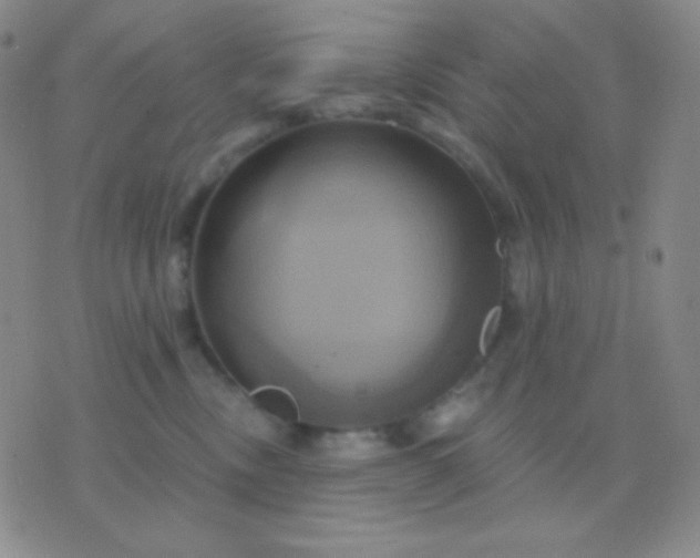 X0000076380378200610202045