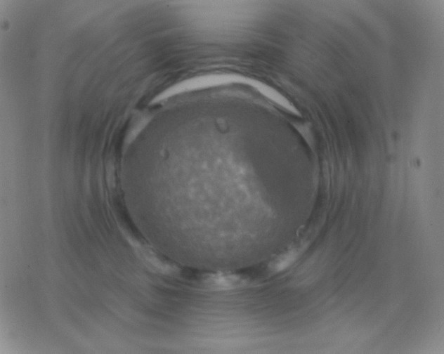 X0000076380379200610202045