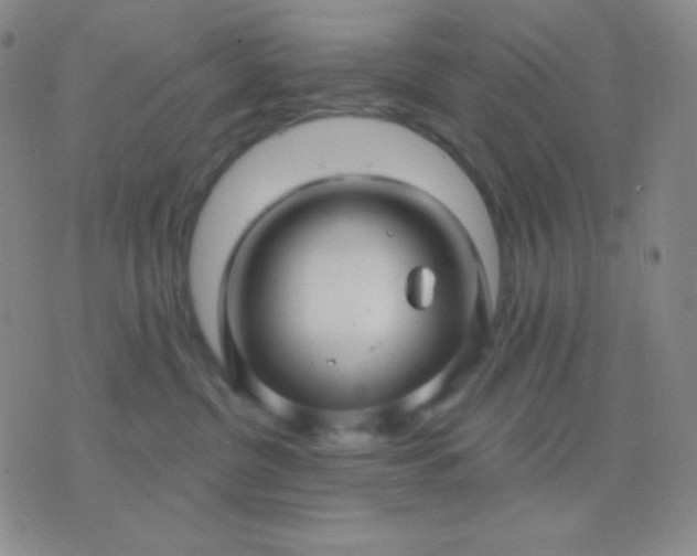 X0000076380380200610202045