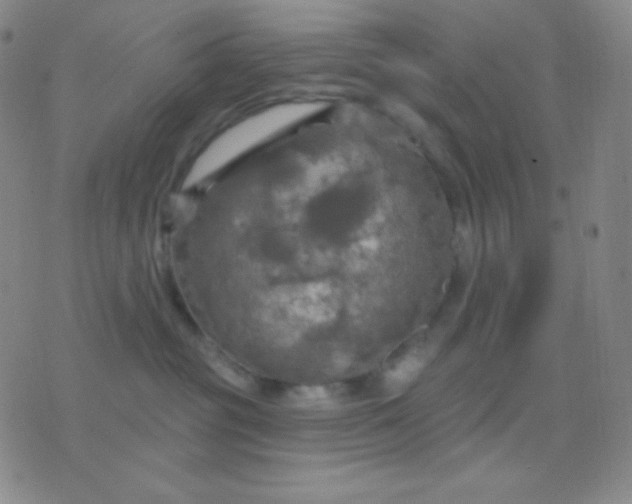 X0000076380381200610202045