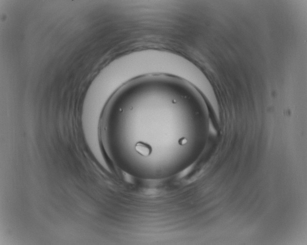 X0000076380382200610202045