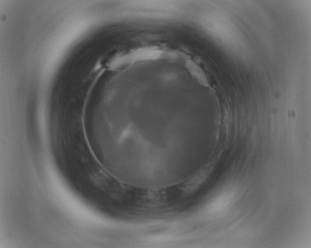 X0000076380383200610202045