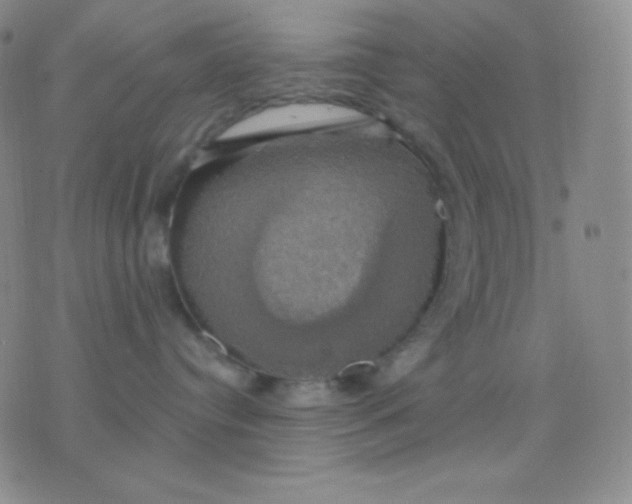 X0000076380384200610202045