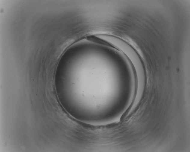 X0000076380385200610202045