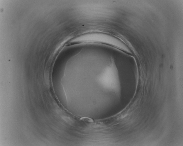 X0000076380386200610202045