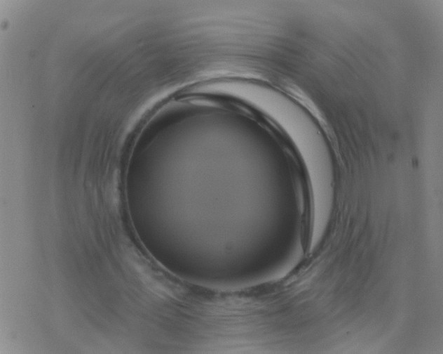 X0000076380387200610202044