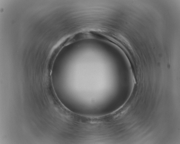 X0000076380388200610202044