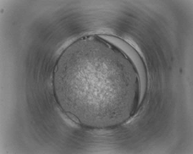 X0000076380389200610202044