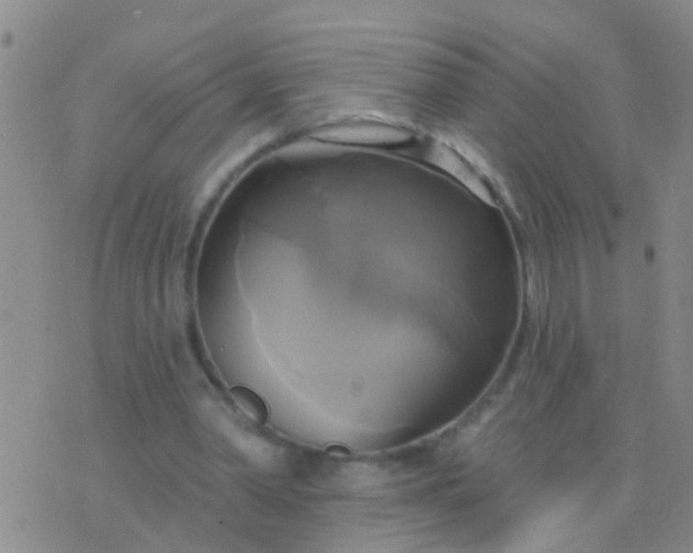 X0000076380390200610202044