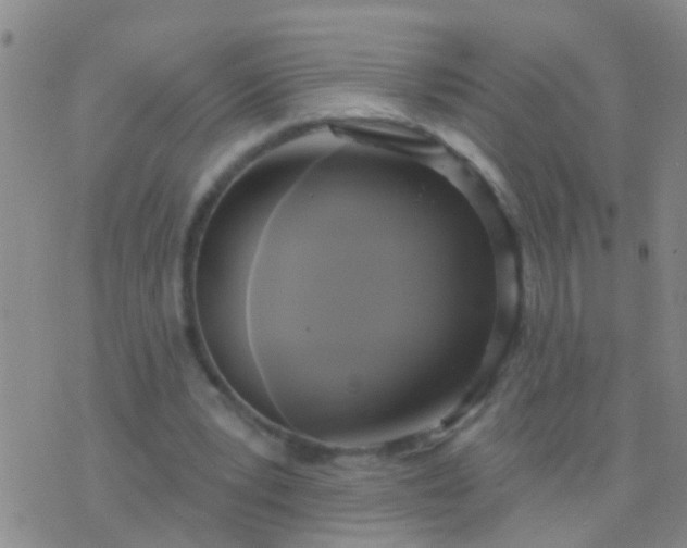 X0000076380391200610202044