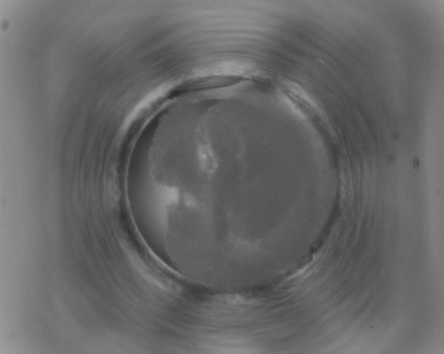 X0000076380392200610202044