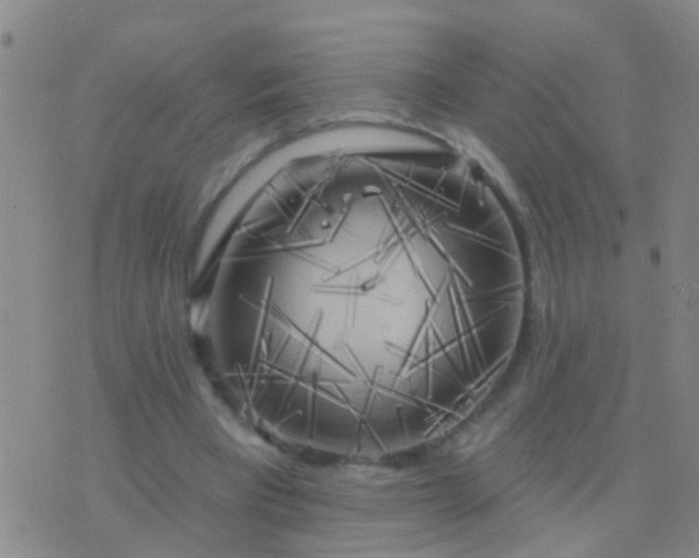 X0000076380393200610202044