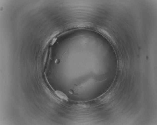 X0000076380394200610202044