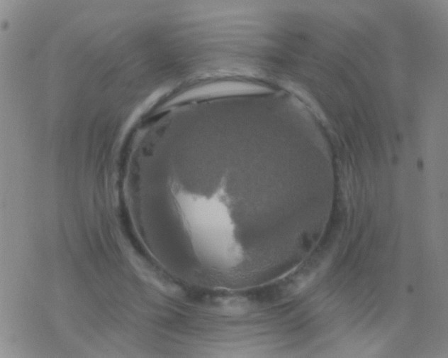 X0000076380395200610202044