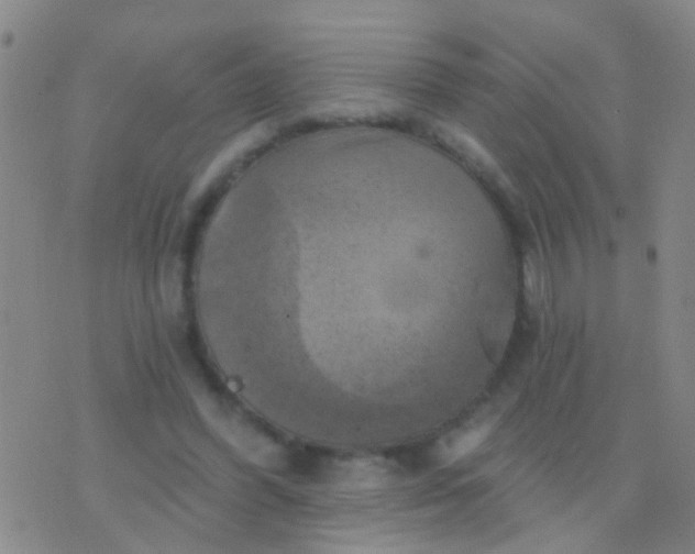 X0000076380396200610202044