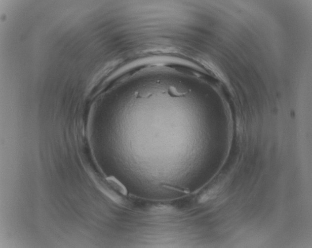 X0000076380397200610202044