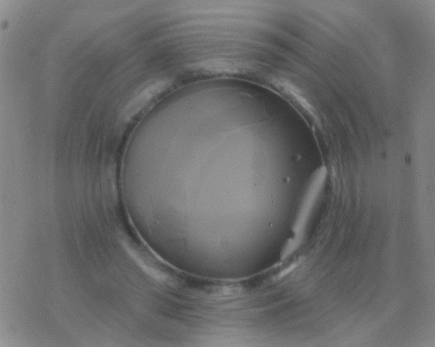 X0000076380398200610202044