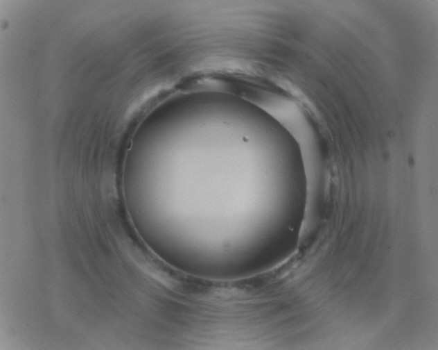 X0000076380399200610202044