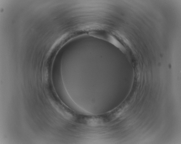 X0000076380400200610202044