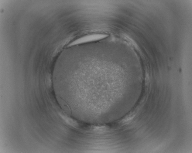 X0000076380401200610202044