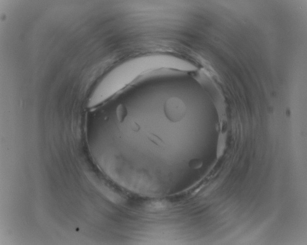 X0000076380402200610202044