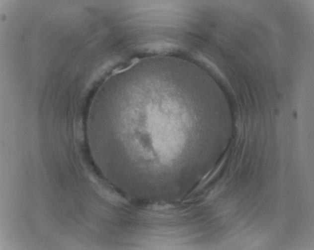 X0000076380403200610202044