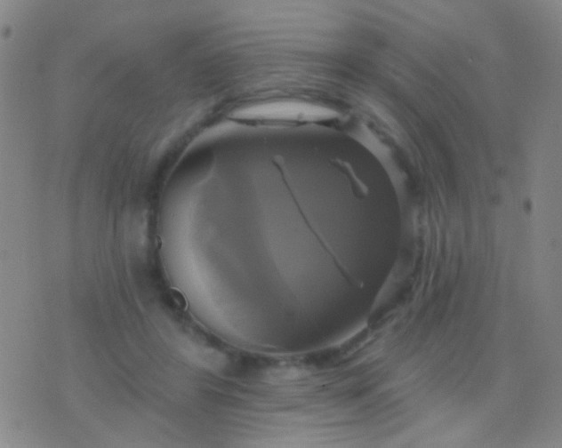 X0000076380404200610202044