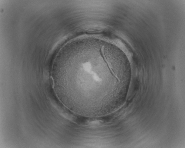 X0000076380407200610202044