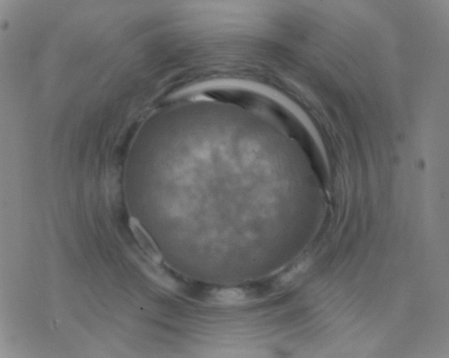 X0000076380409200610202044