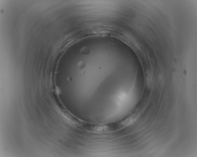 X0000076380410200610202044