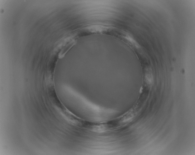 X0000076380411200610202044