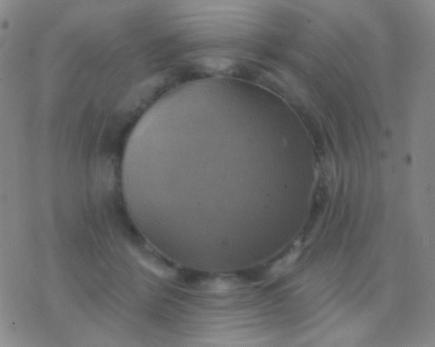 X0000076380412200610202044