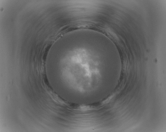 X0000076380413200610202044