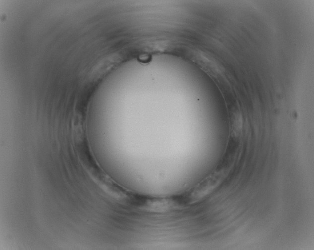 X0000076380414200610202044