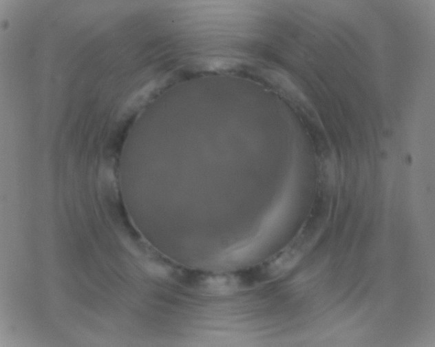 X0000076380415200610202044