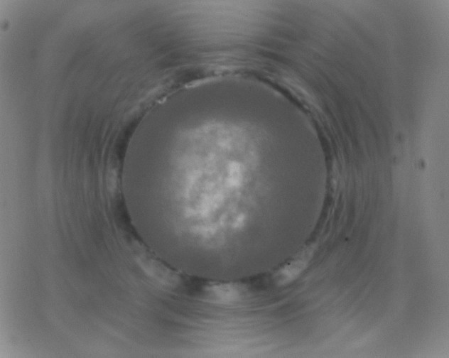 X0000076380417200610202044