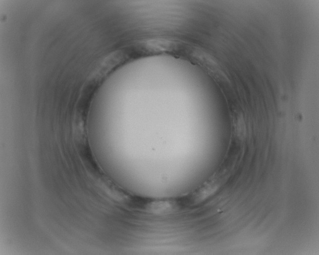 X0000076380418200610202044