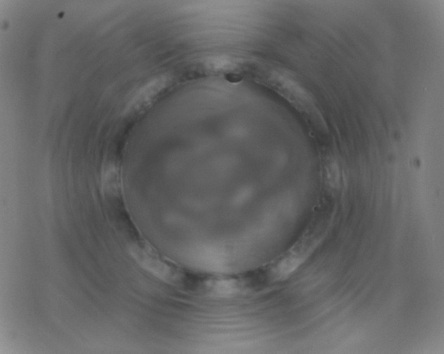 X0000076380419200610202044