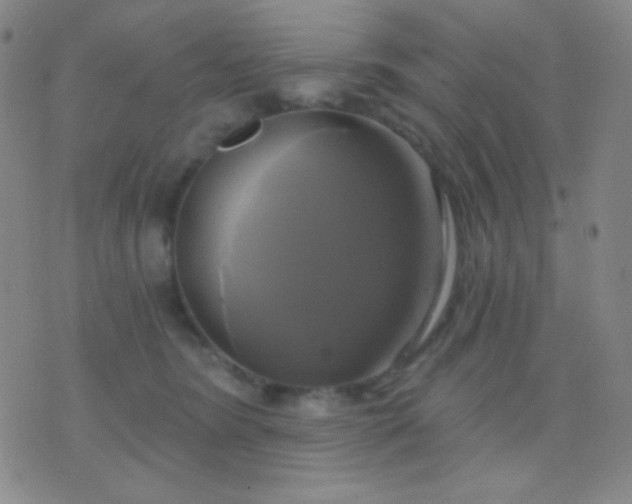 X0000076380420200610202044