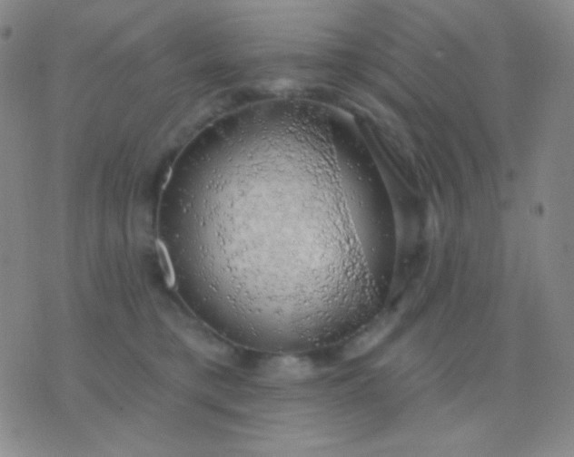 X0000076380421200610202044