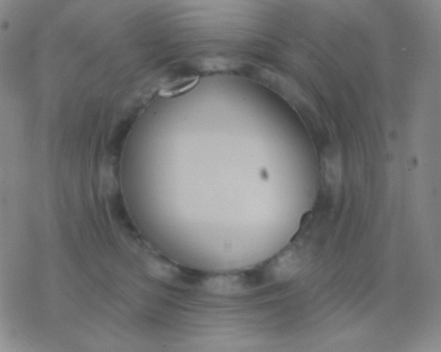 X0000076380422200610202044